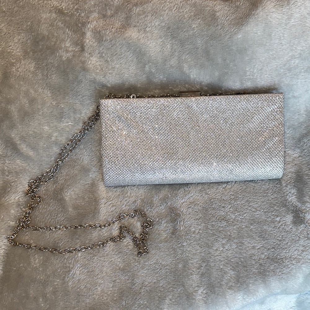 Windsor Silver Sparkle Purse